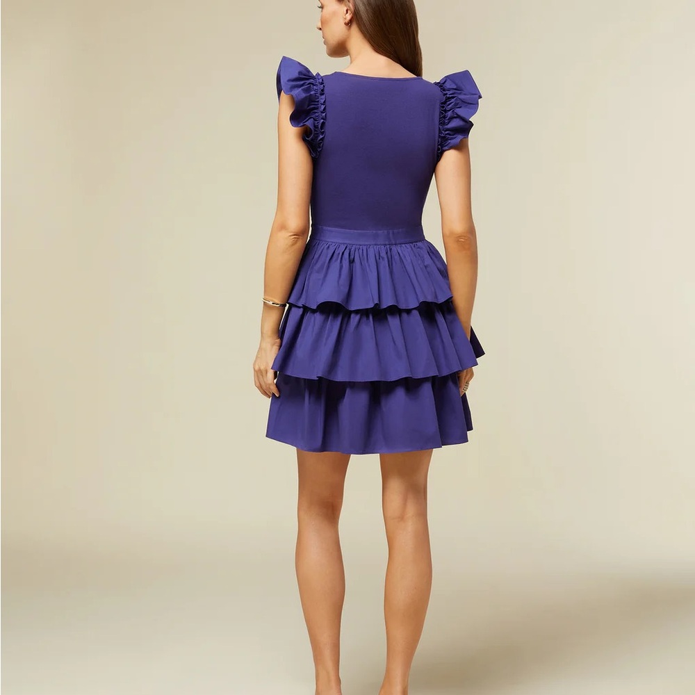 Rachel Parcell Ruffle Dress - Picture 4 of 5